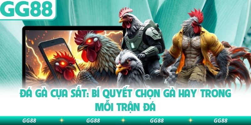 Đá Gà Cựa Sắt: Bí Quyết Chọn Gà Hay Trong Mỗi Trận Đá