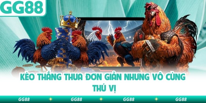 Kèo thắng thua đơn giản nhưng vô cùng thú vị