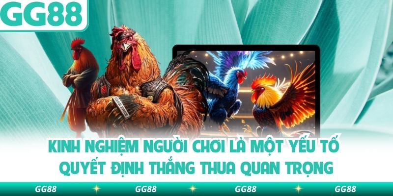 Kinh nghiệm người chơi là một yếu tố quyết định thắng thua quan trọng