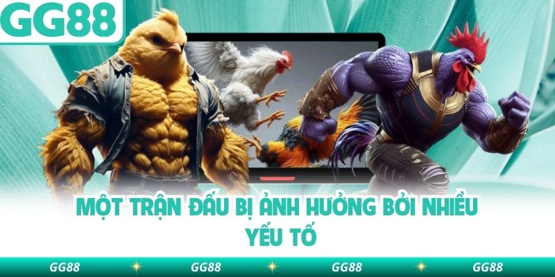 Một trận đấu bị ảnh hưởng bởi nhiều yếu tố 