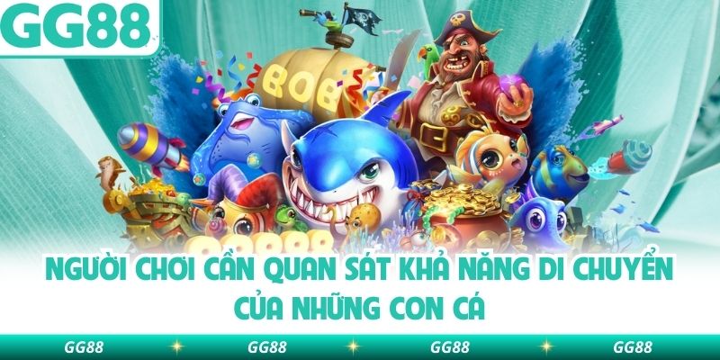 Người chơi cần quan sát khả năng di chuyển của những con cá