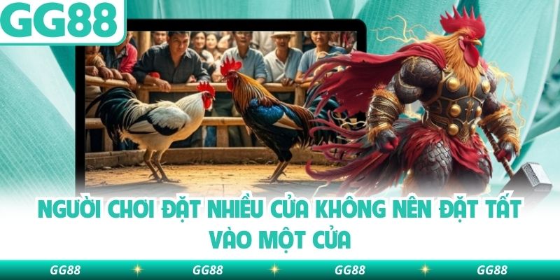 Người chơi đặt nhiều cửa không nên đặt tất vào một cửa