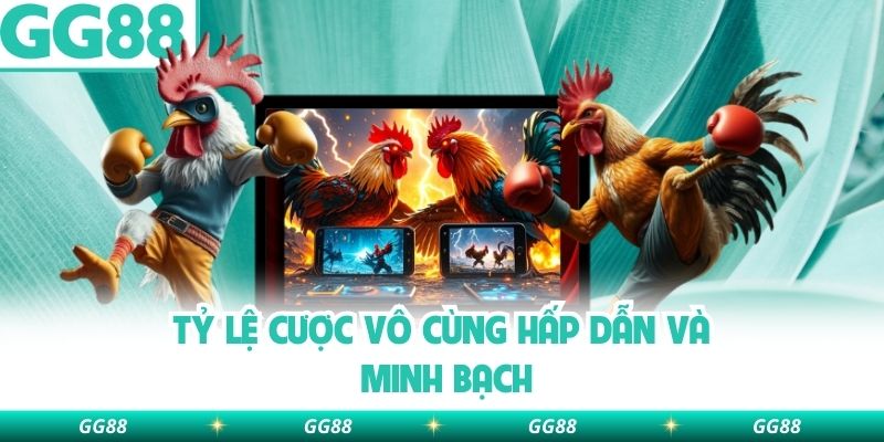 Tỷ lệ cược vô cùng hấp dẫn và minh bạch